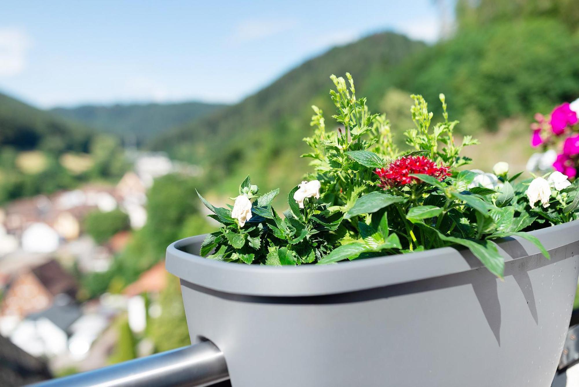 Haus Erika Ferienwohnung 1 Bad Teinach-Zavelstein Exteriér fotografie